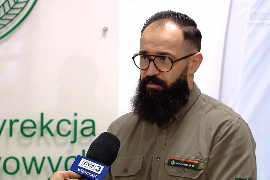 Dlaczego ochrona lasów w Polsce jest dziś kluczowa?